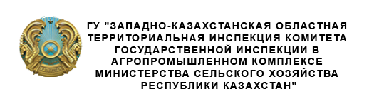 Гос вет инспекторов памятка. Государственного комитета по надзору Китай.